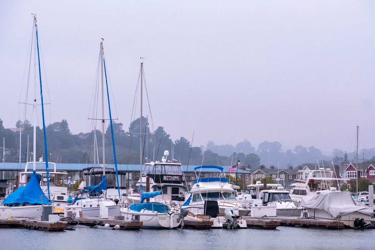 Sailboats and yachts moored in a marina with trees and houses behind