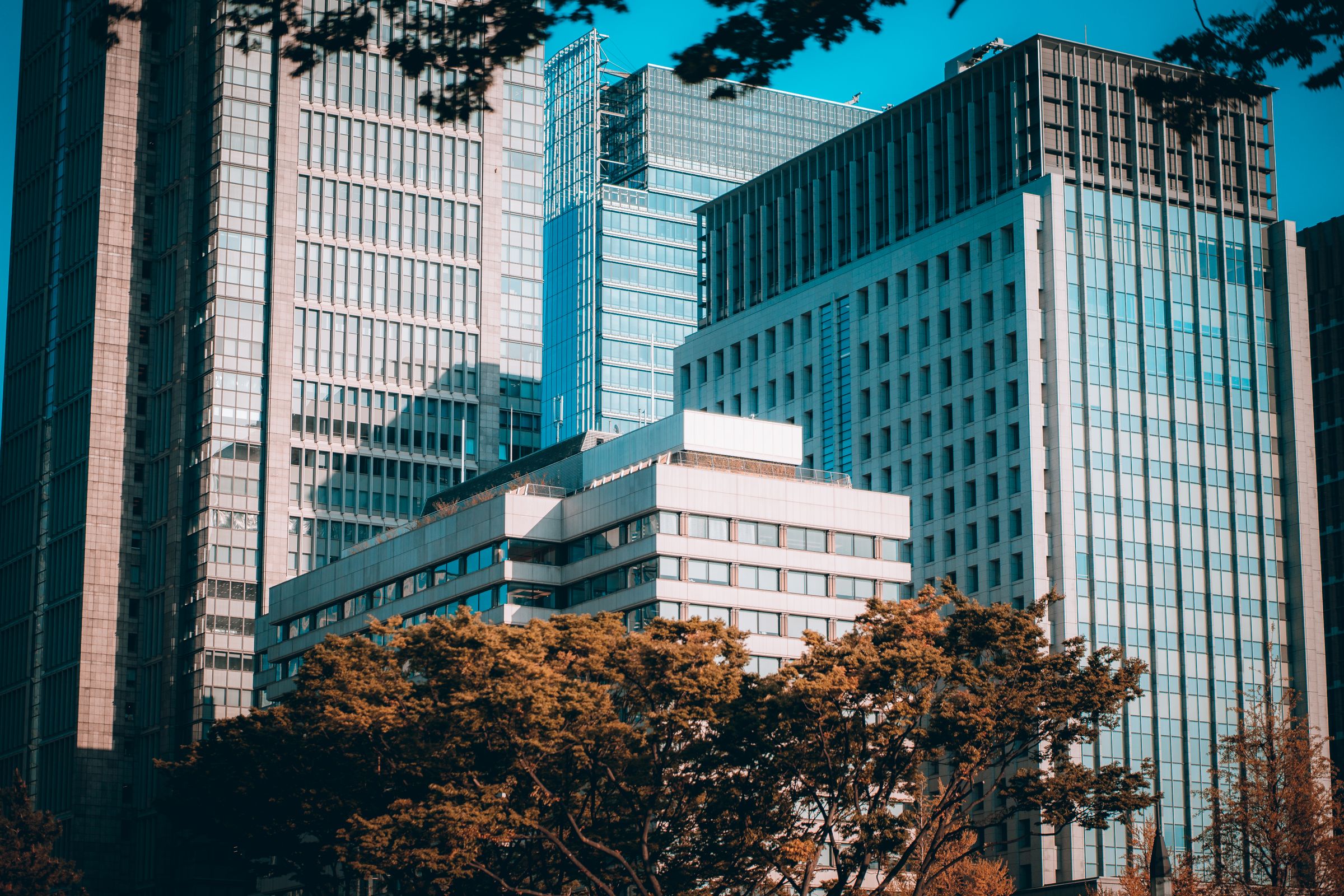 Modern skyscrapers in Tokyo's financial district under a clear blue sky