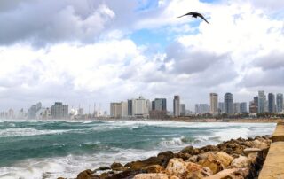 A scenic view of Tel Aviv's modern skyline and rocky coastline with a bird flying overhead.