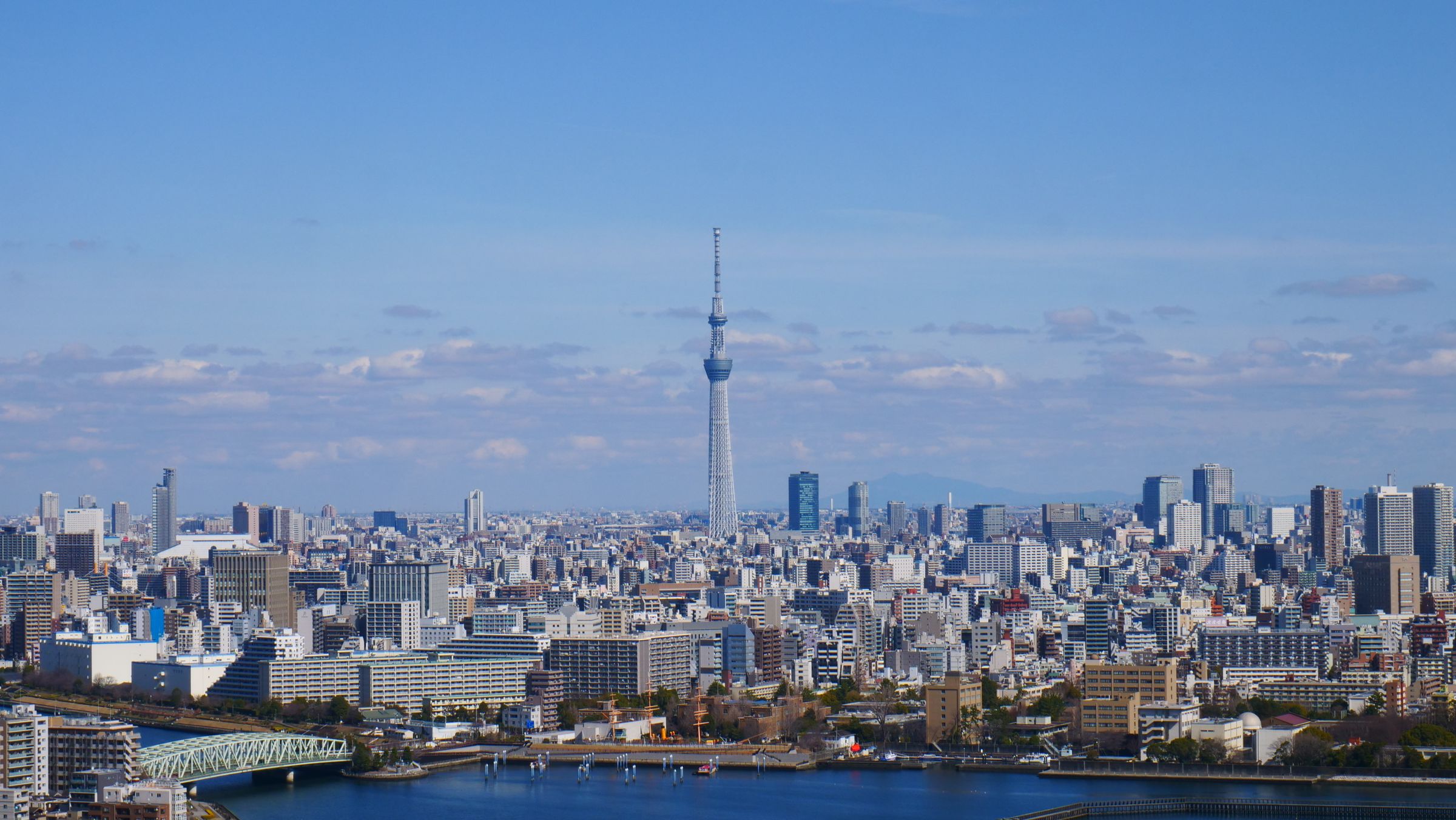 Aerial view of the Tokyo skyline with the Tokyo Skytree
