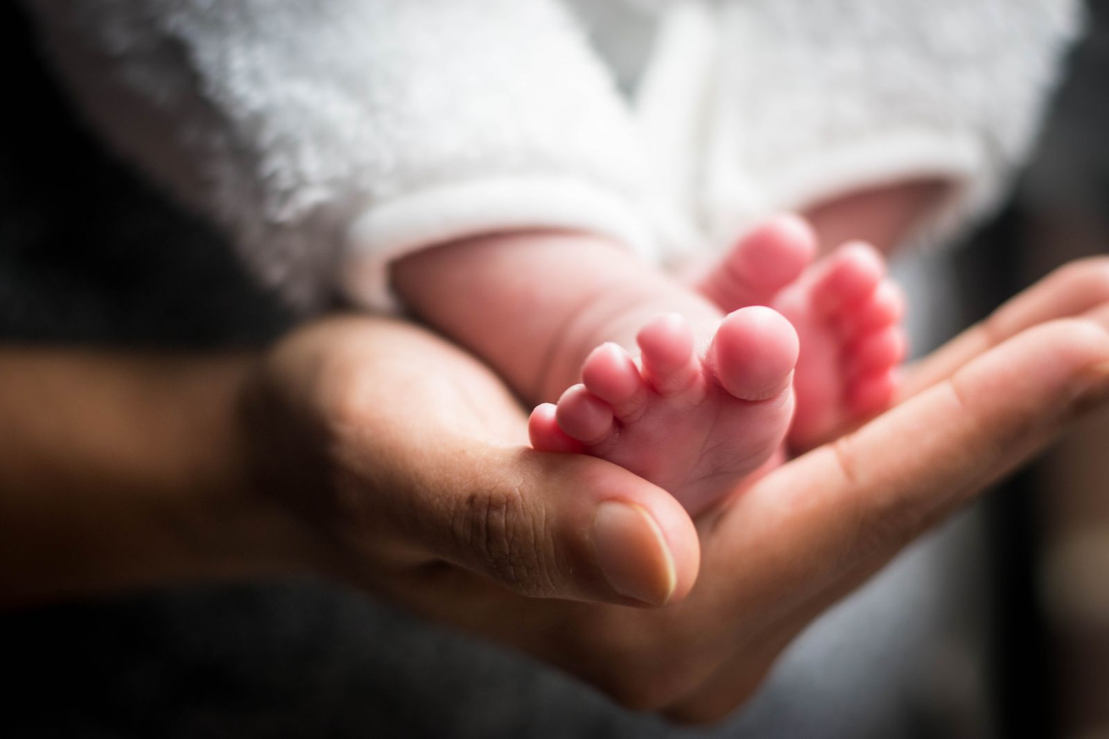 A close-up image of newborn baby feet resting in a gentle hand, showcasing innocence and new life.