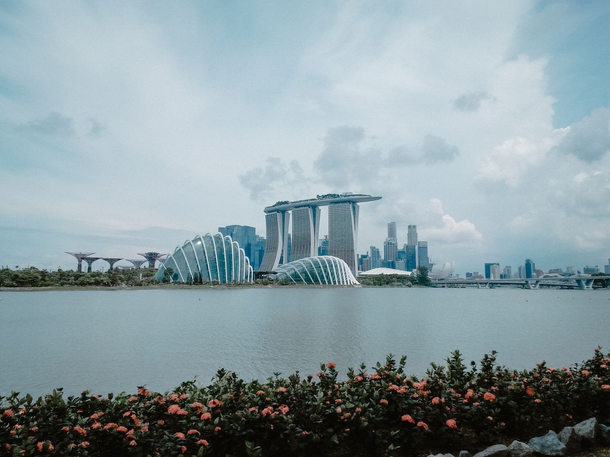 Marina Bay Sands and the Singapore city skyline beside Gardens by the Bay
