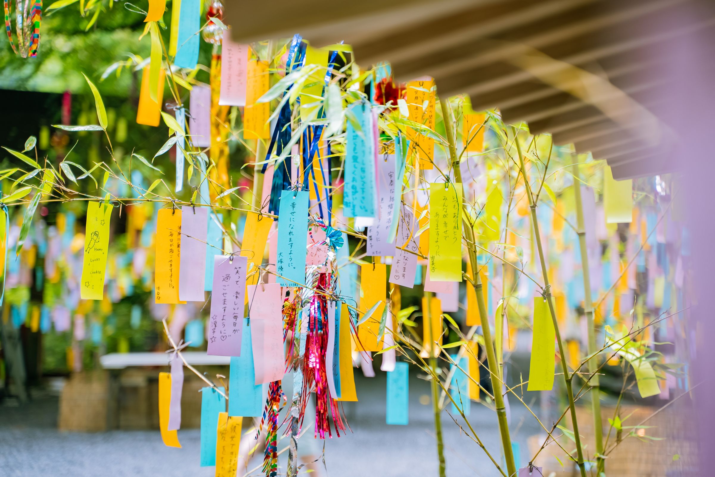 Tanabata wish tags on bamboo in Kyoto, Japan